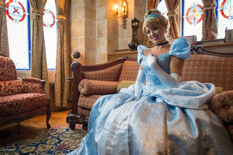 spend the night in cinderella's castle.